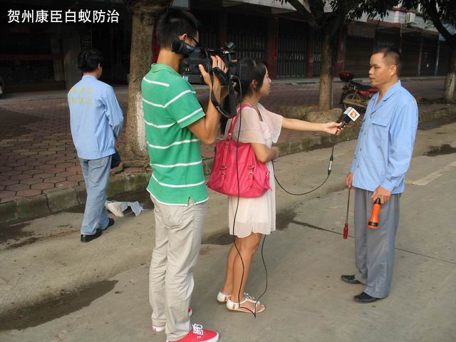 電視臺采訪康臣白蟻防治現場